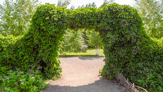 Illustration for article titled Sorry, Horny Boys, But These 7 Curvaceous Topiaries Are Pretty Much The Sexiest Thing We Can Get Through Your Middle School’s Content Filters